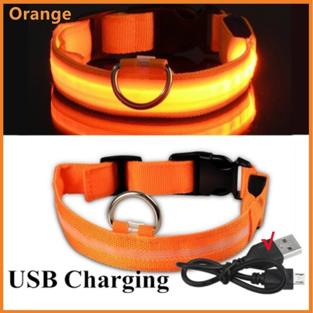 LED Glowing Dog Collar - NECK Size: (XL 16 - 24in) - ORANGE