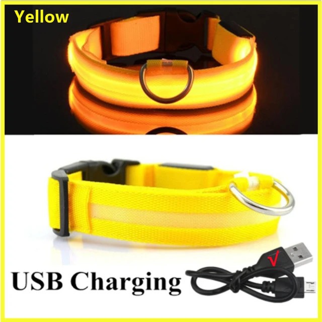 LED Glowing Dog Collar = NECK Size: (XL 16 - 24in) - YELLOW