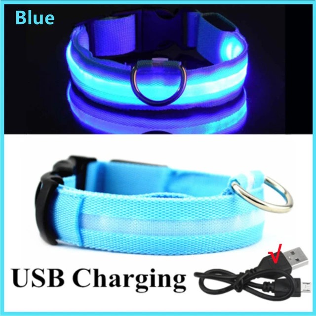 LED Glowing Dog Collar - NECK Size (XL 16 - 24in)- BLUE