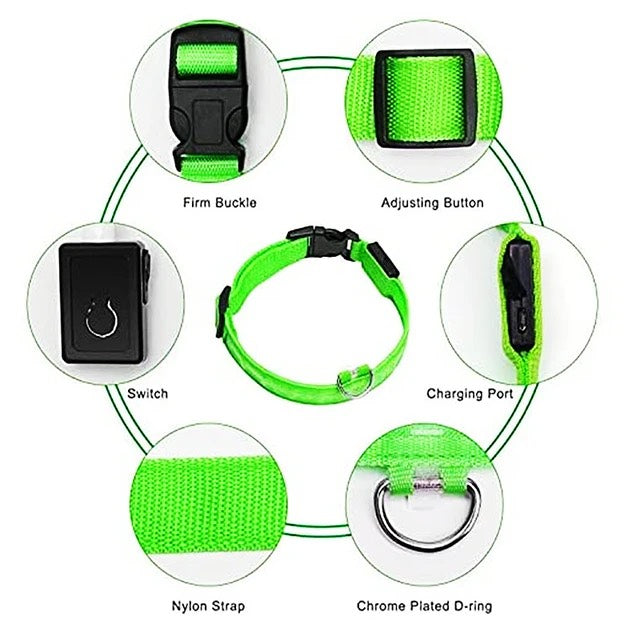 LED Glowing Dog Collar - NECK Size: (XL 16 - 24in) - GREEN