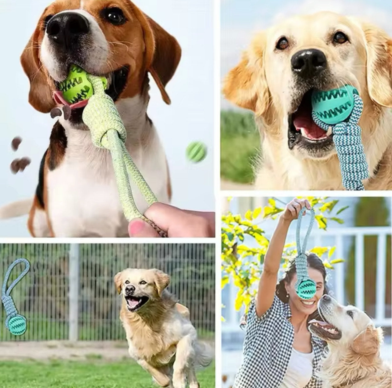 Dog Ball Toy with Rope - Blue