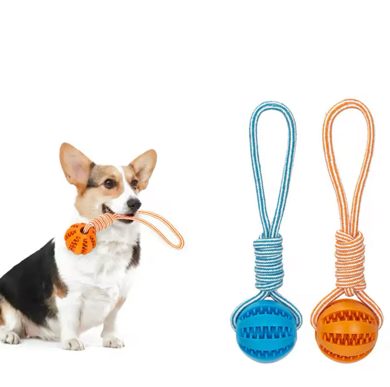 Dog Ball Toy with Rope - Blue