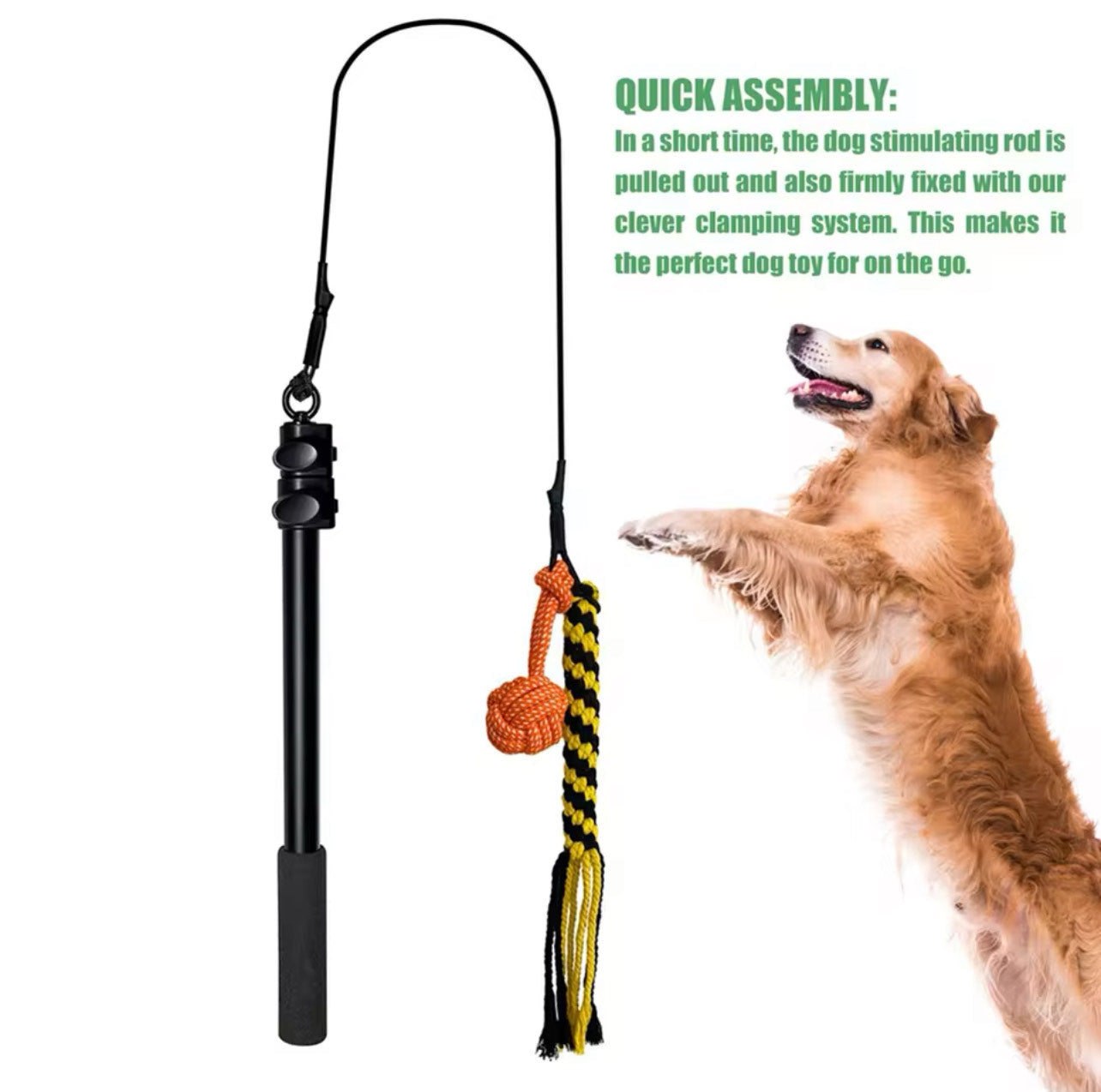 Flirt Pole Interactive Toy for Dogs Chase and Drag