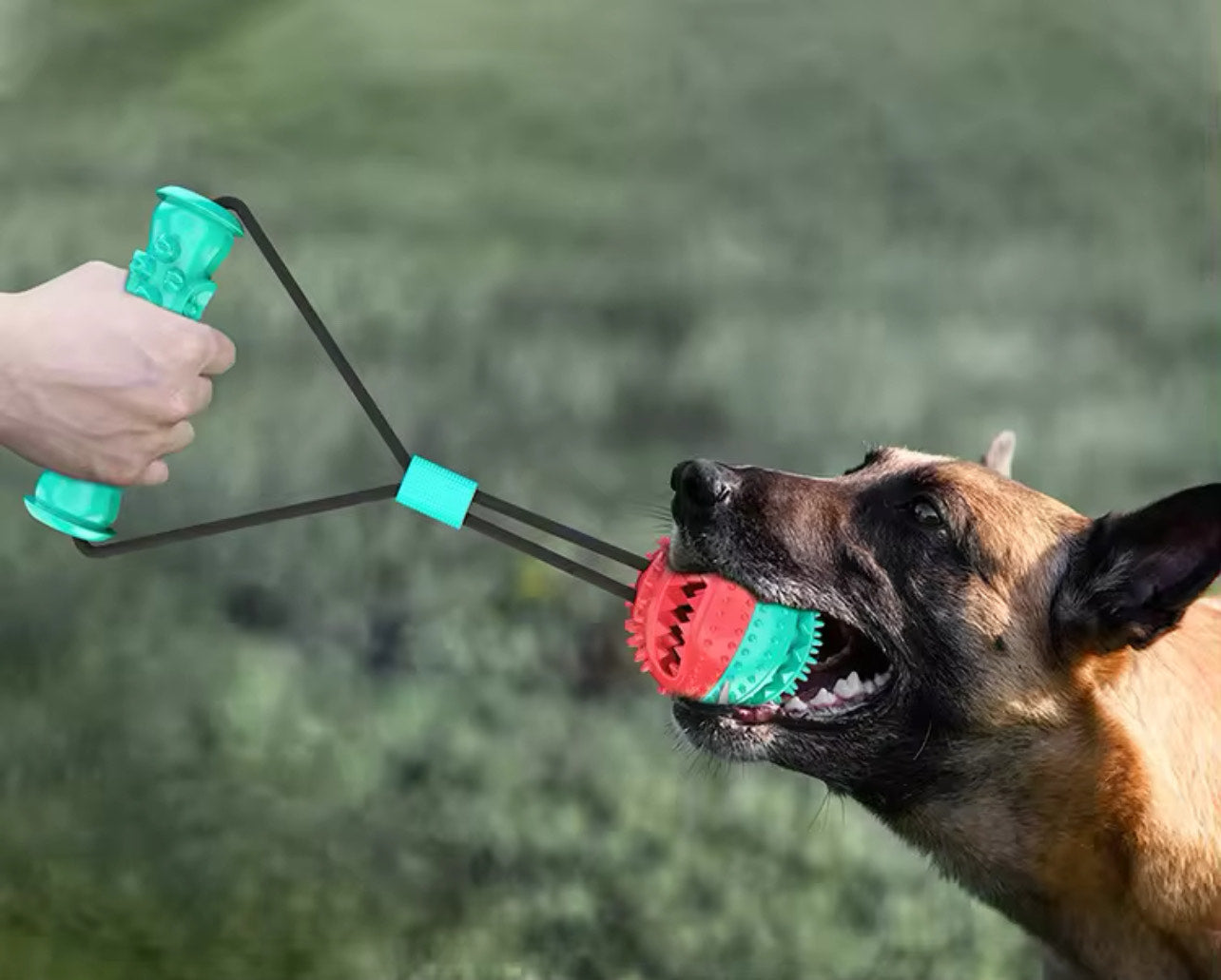 Rope Training Ball