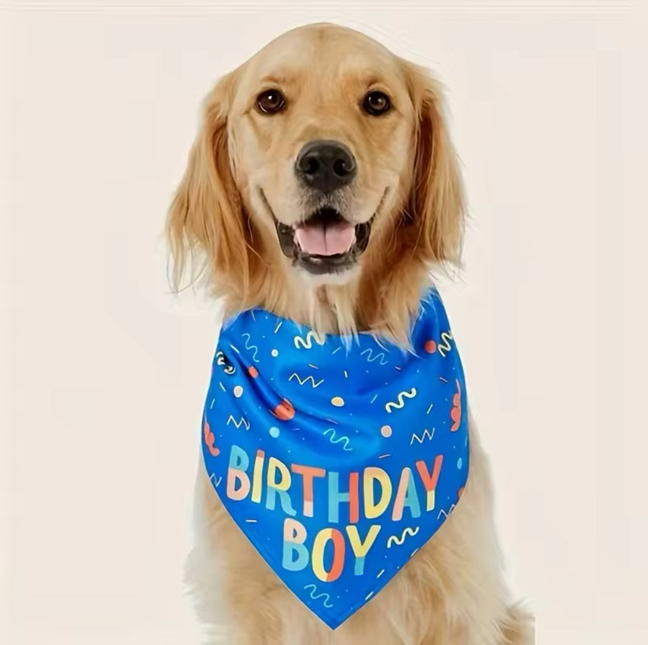 Birthday Boy Dog Bandana - Neck Size: 30inch