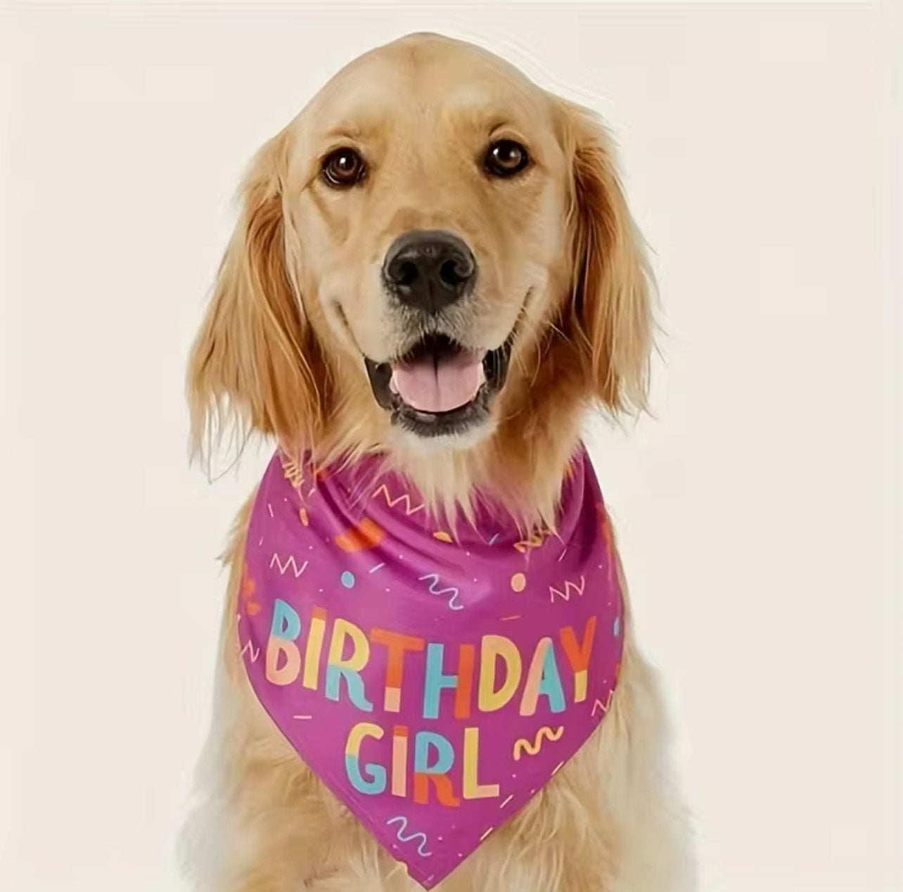 Birthday Girl Bandana - Neck Size: 30 inch