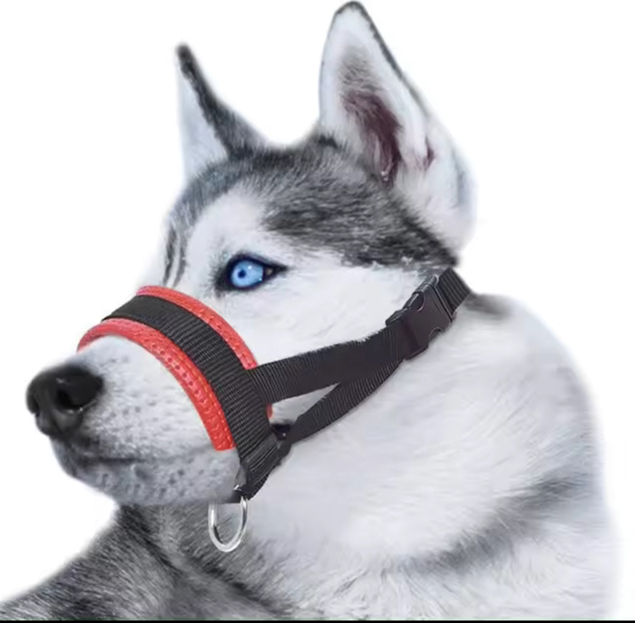 Dog Muzzle - Red - XXL Size: Snout Strap 11-15' (28-38cm) Neck Strap 9-23' (23-56cm)