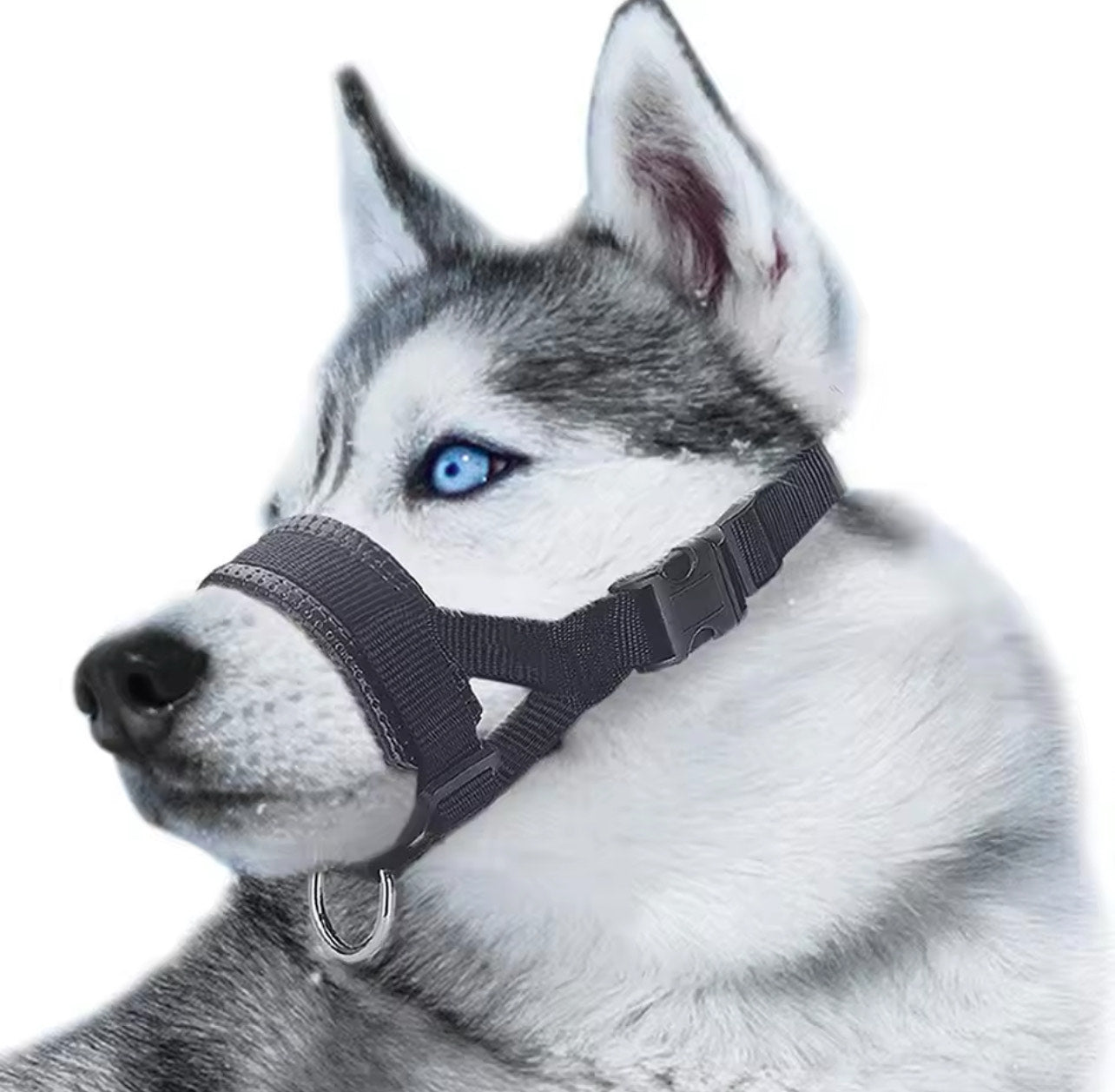 Dog Muzzle - Black - XXL Size: Snout Strap 11-15' (28-38cm) Neck Strap 9-23' (23-56cm)