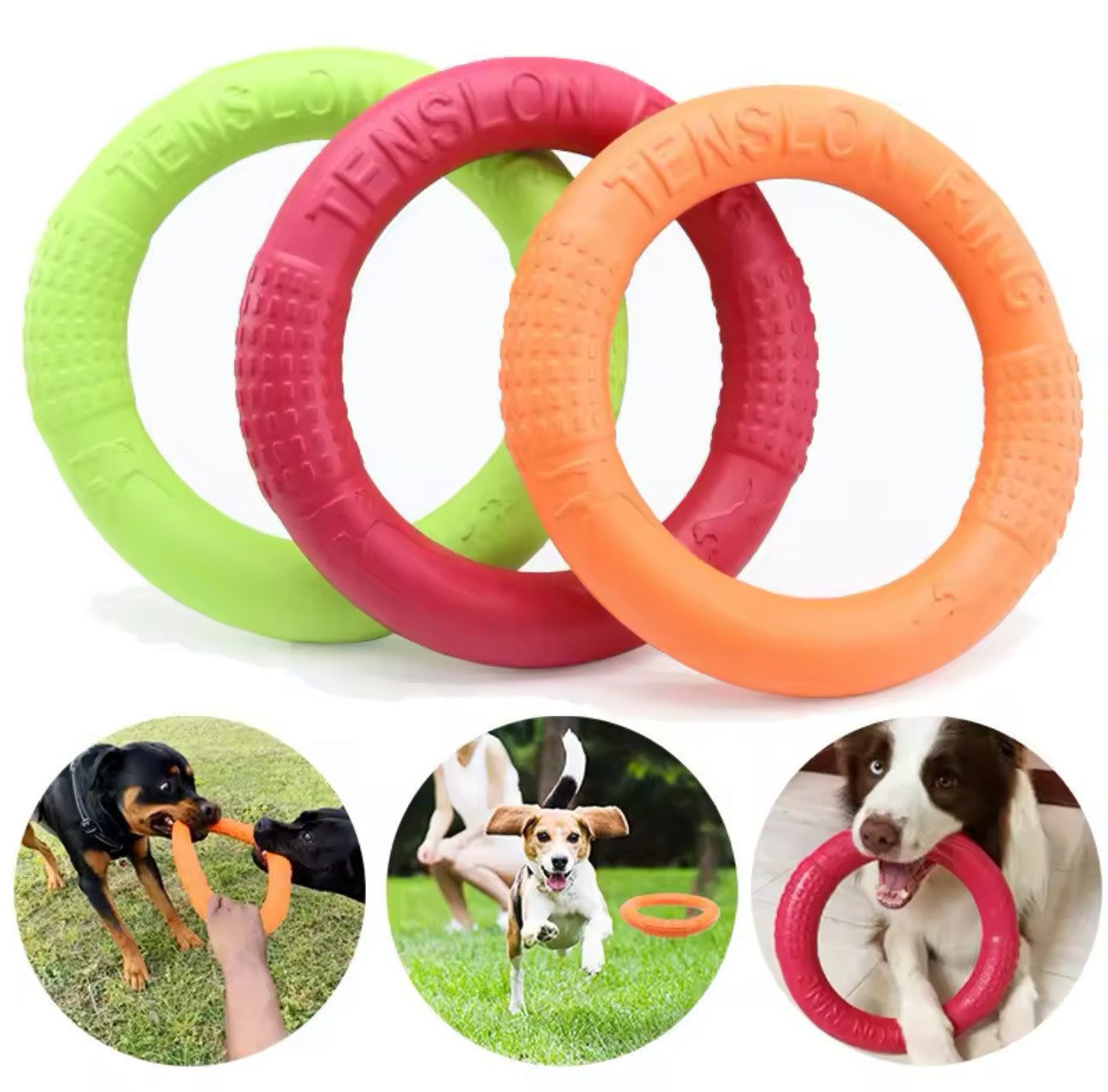 Dog Flying Disk --Floating Water Pet Toy Ring - Green - Size 11-inch