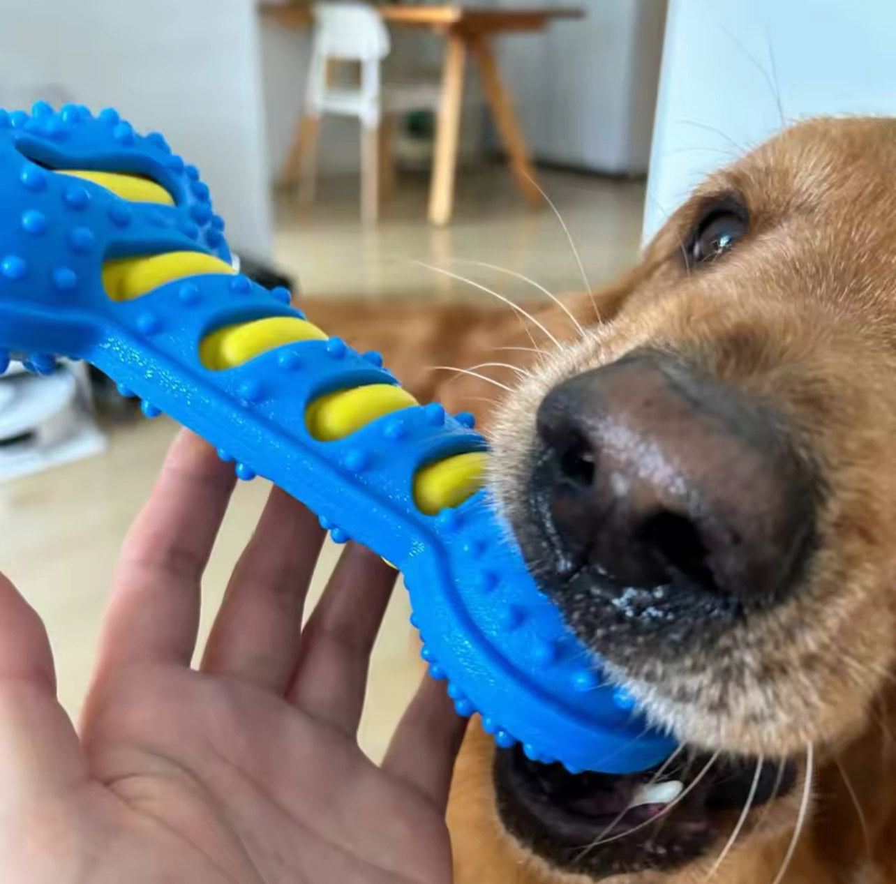 Dog TPR Bone Toys Interactive Soft Squeaky for Medium Large Dogs Teeth Cleaning Chew Bite Resistance