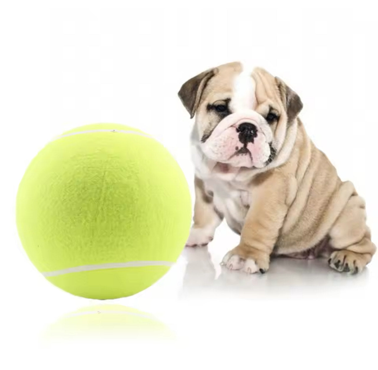 Giant 9.5inch Tennis Ball for Dog Chew Toy Pet Dog Interactive Toys Big Inflatable Tennis Ball