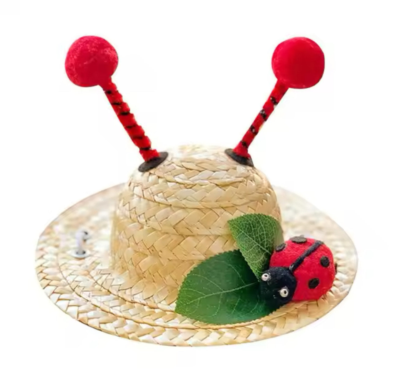 Dog Straw Hat with Lanyard - Lady Bug