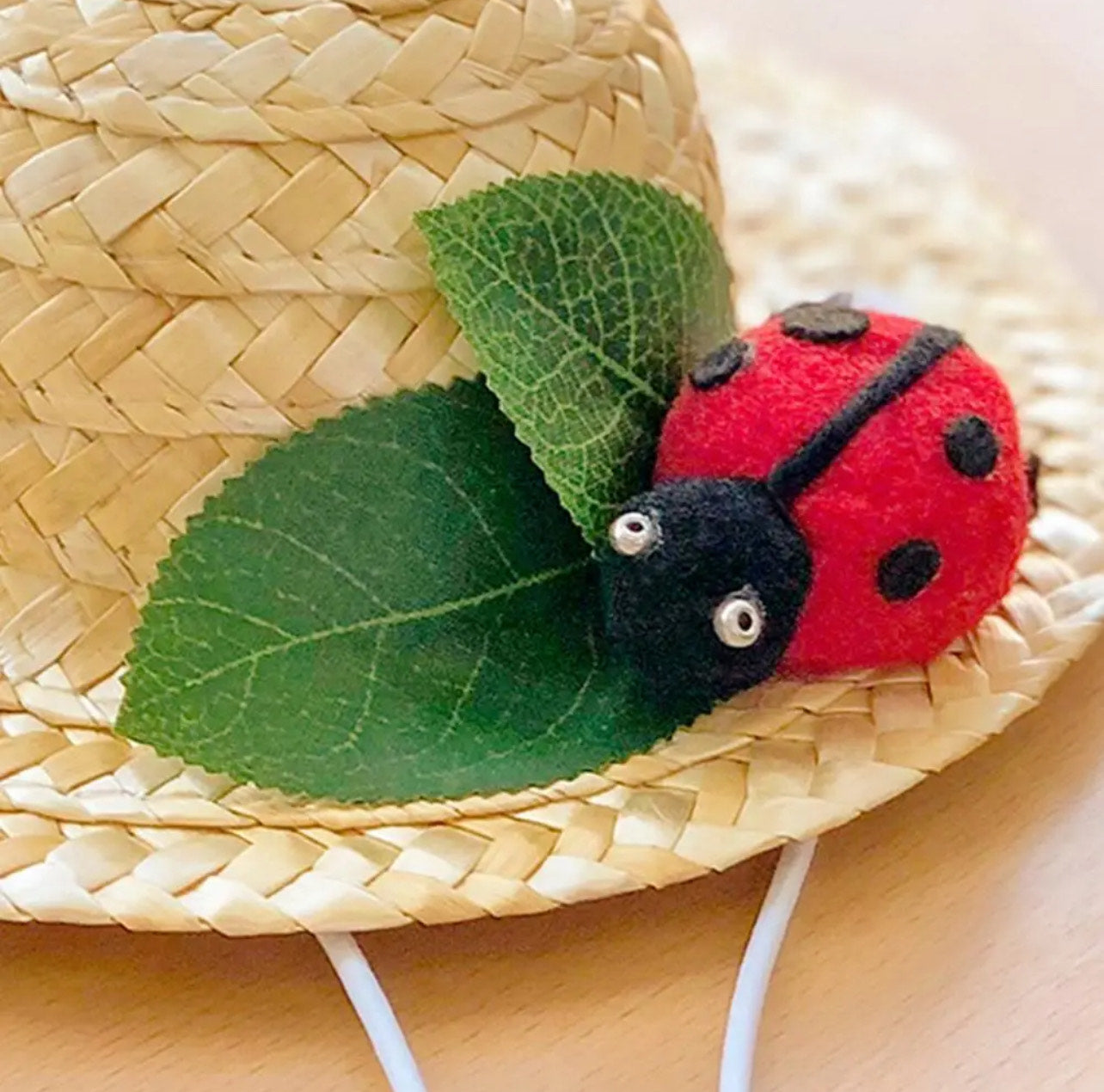 Dog Straw Hat with Lanyard - Lady Bug