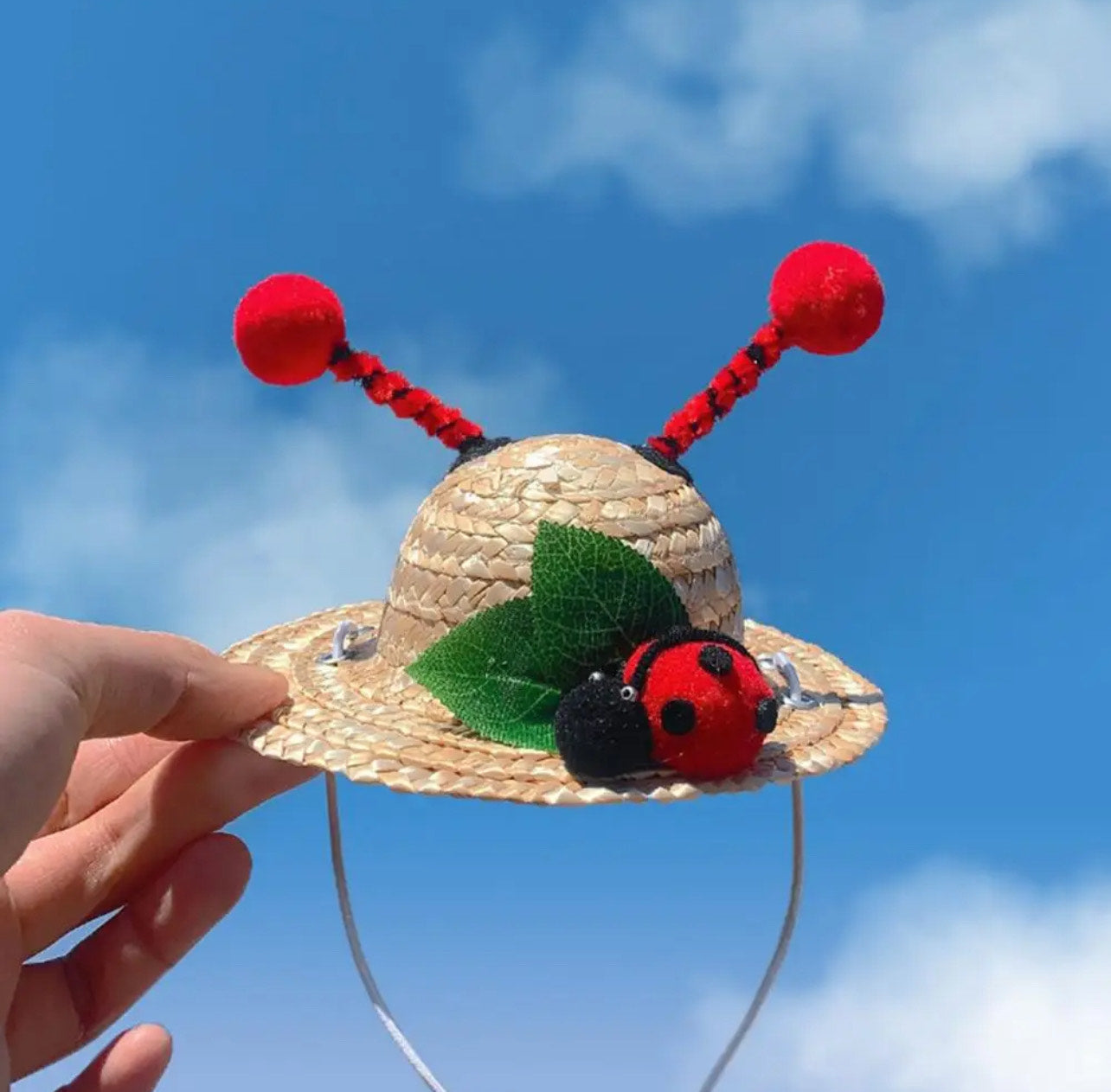 Dog Straw Hat with Lanyard - Lady Bug