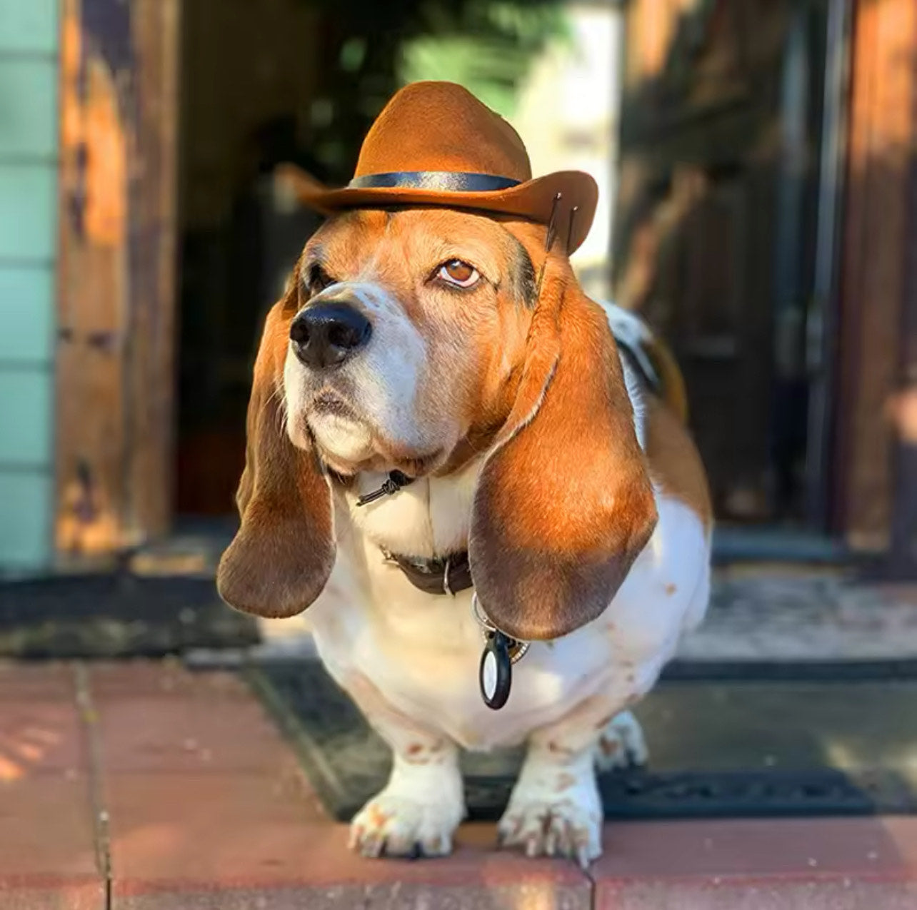 Dog Cowboy Hat Adjustable - Brown